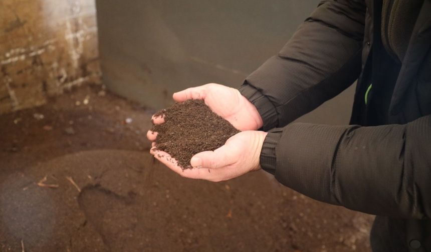 Torf üretimi ile 50 milyon lira tasarruf sağlanıyor